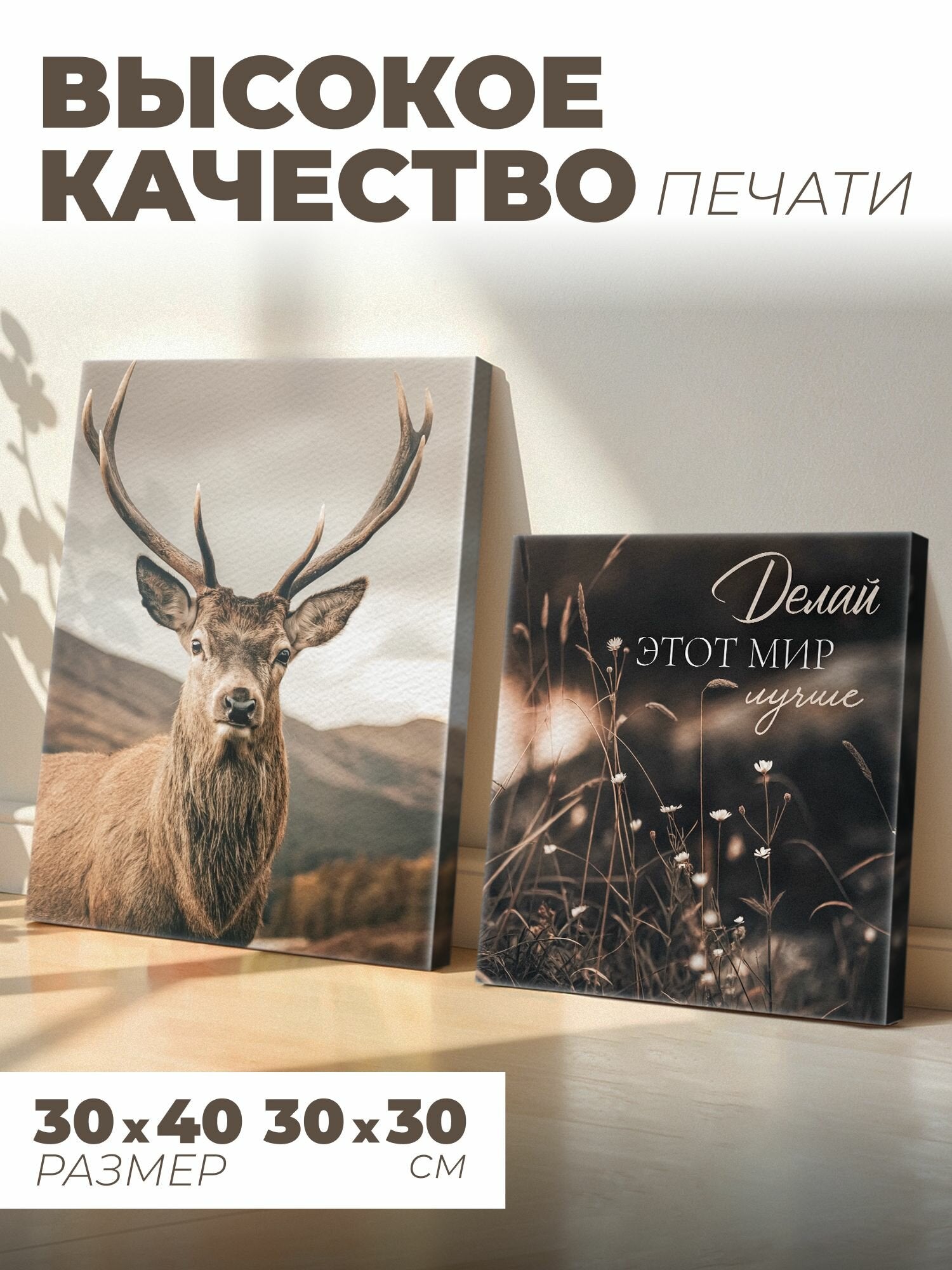 Nature Themed Canvas Wall Art Set